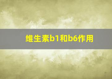 维生素b1和b6作用