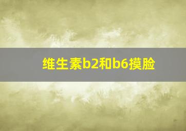 维生素b2和b6摸脸