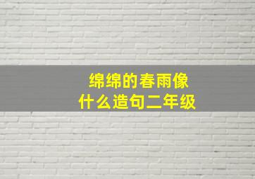 绵绵的春雨像什么造句二年级