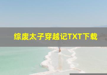 综废太子穿越记TXT下载