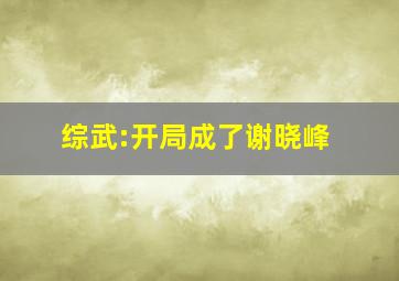 综武:开局成了谢晓峰