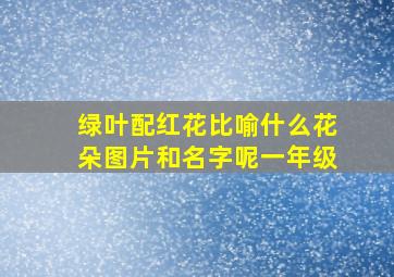 绿叶配红花比喻什么花朵图片和名字呢一年级