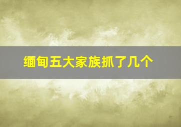 缅甸五大家族抓了几个