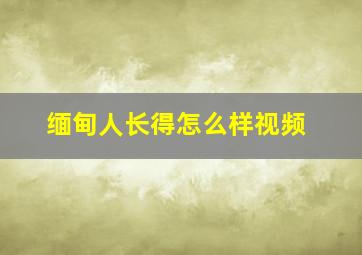 缅甸人长得怎么样视频