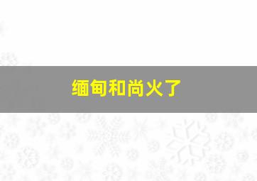 缅甸和尚火了