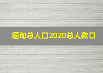 缅甸总人口2020总人数口