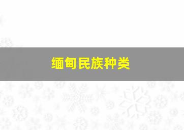 缅甸民族种类