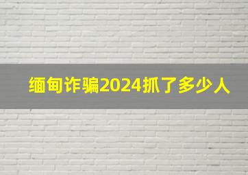 缅甸诈骗2024抓了多少人