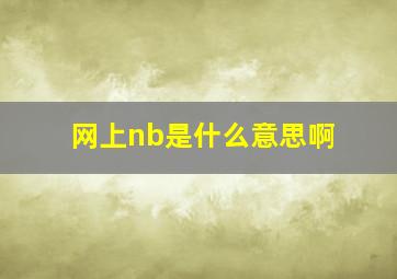 网上nb是什么意思啊