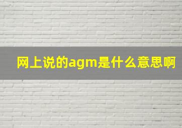 网上说的agm是什么意思啊