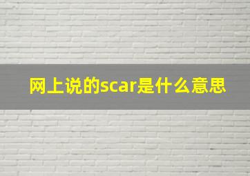 网上说的scar是什么意思