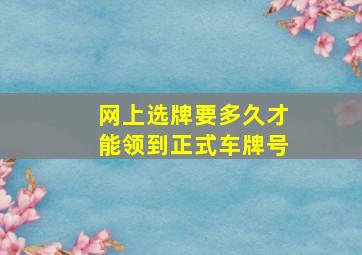 网上选牌要多久才能领到正式车牌号