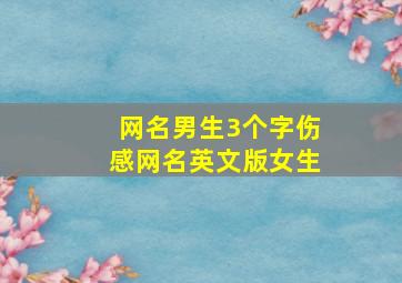 网名男生3个字伤感网名英文版女生