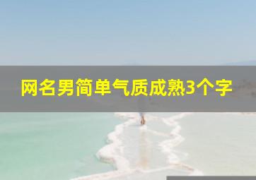 网名男简单气质成熟3个字