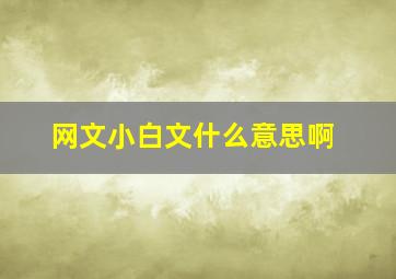 网文小白文什么意思啊