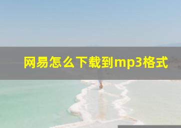 网易怎么下载到mp3格式