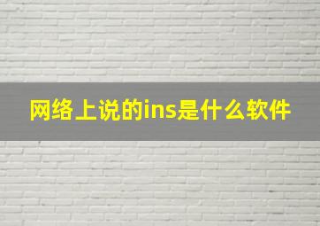 网络上说的ins是什么软件