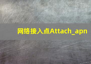 网络接入点Attach_apn