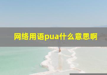 网络用语pua什么意思啊