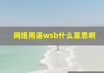 网络用语wsb什么意思啊