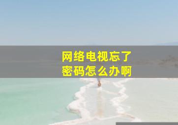 网络电视忘了密码怎么办啊