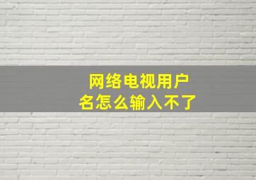 网络电视用户名怎么输入不了