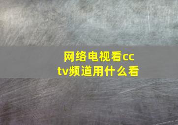 网络电视看cctv频道用什么看