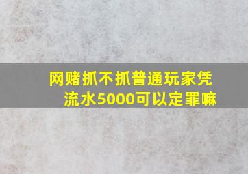 网赌抓不抓普通玩家凭流水5000可以定罪嘛