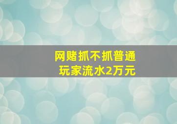 网赌抓不抓普通玩家流水2万元