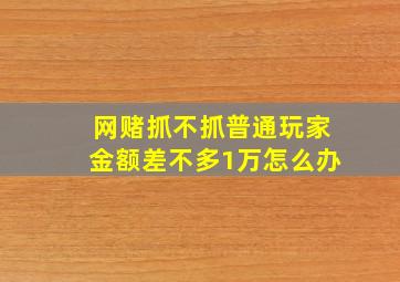 网赌抓不抓普通玩家金额差不多1万怎么办