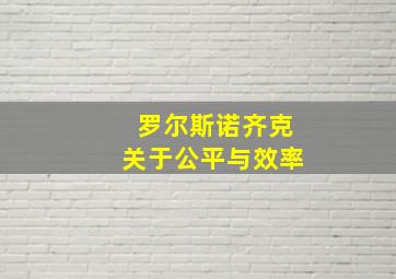 罗尔斯诺齐克关于公平与效率