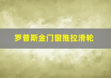 罗普斯金门窗推拉滑轮