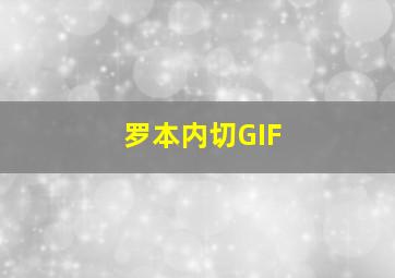 罗本内切GIF