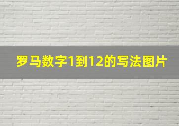 罗马数字1到12的写法图片