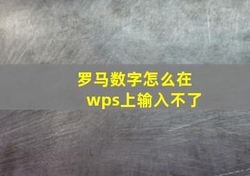 罗马数字怎么在wps上输入不了