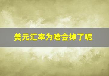 美元汇率为啥会掉了呢