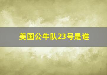 美国公牛队23号是谁