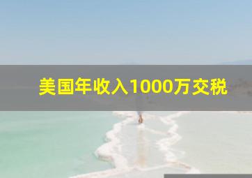 美国年收入1000万交税