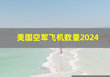 美国空军飞机数量2024