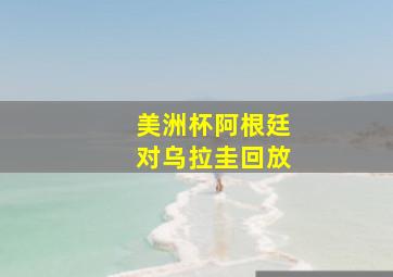 美洲杯阿根廷对乌拉圭回放