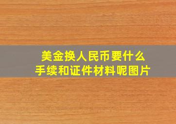 美金换人民币要什么手续和证件材料呢图片