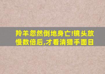 羚羊忽然倒地身亡!镜头放慢数倍后,才看清猎手面目