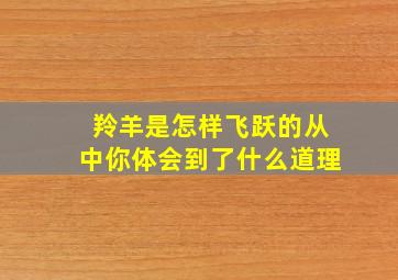 羚羊是怎样飞跃的从中你体会到了什么道理