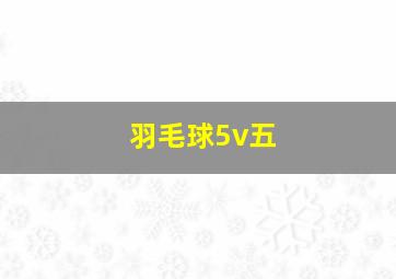 羽毛球5v五