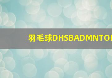 羽毛球DHSBADMNTOH