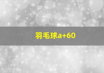 羽毛球a+60