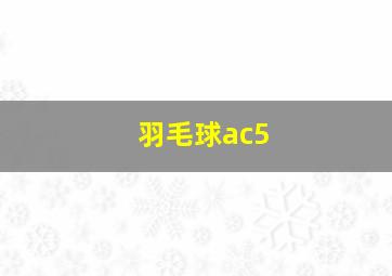 羽毛球ac5