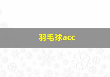 羽毛球acc