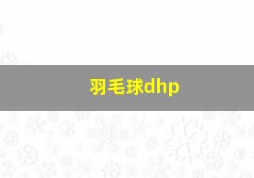 羽毛球dhp