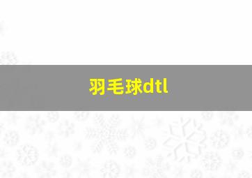 羽毛球dtl